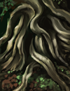 Roots.png