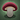 Mushroom2small.png