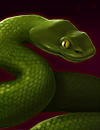 Snakehead2.png