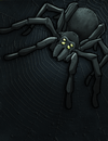 Spiderflorence.png