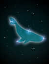 Whale constellation.png