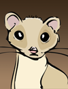 Weasel.png