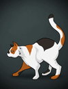 Catcalico.png