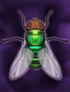 Blowfly.png