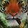 Tigerwatchfulsmall.png