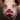 Pig2small.png