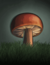 Mushroom.png