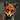 Fox2small.png